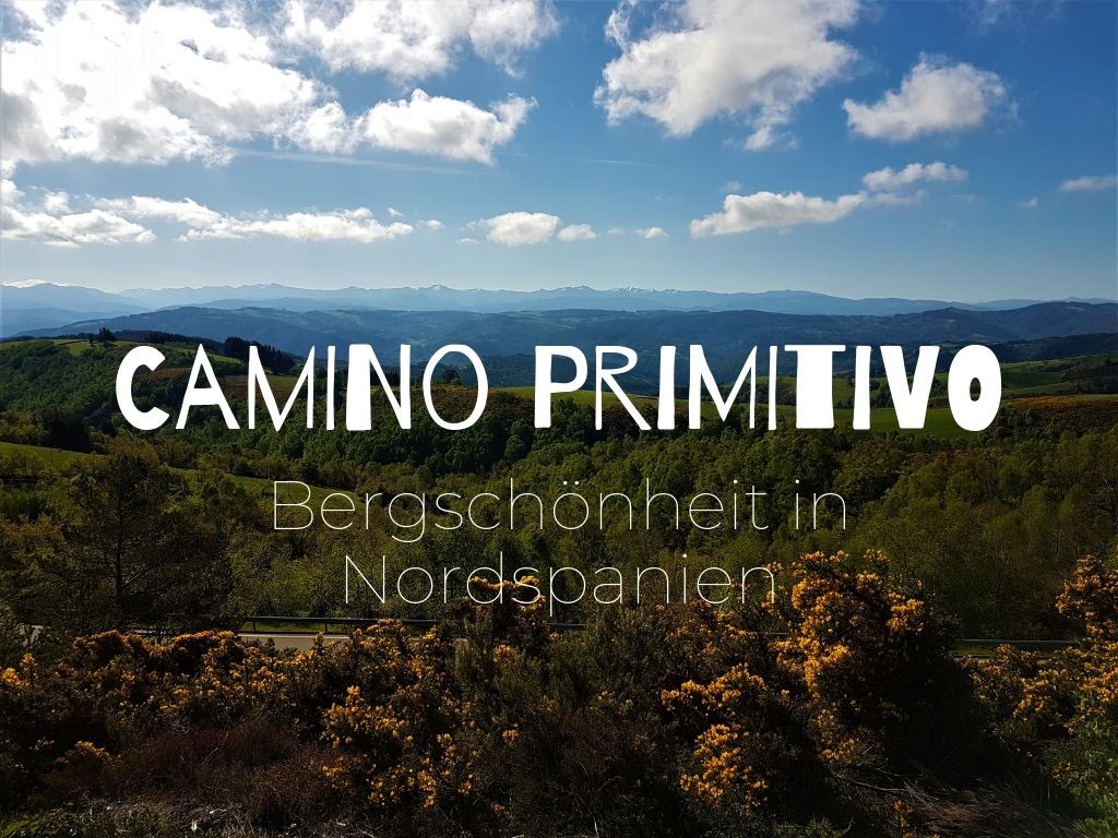 Titel Camino Primitivo