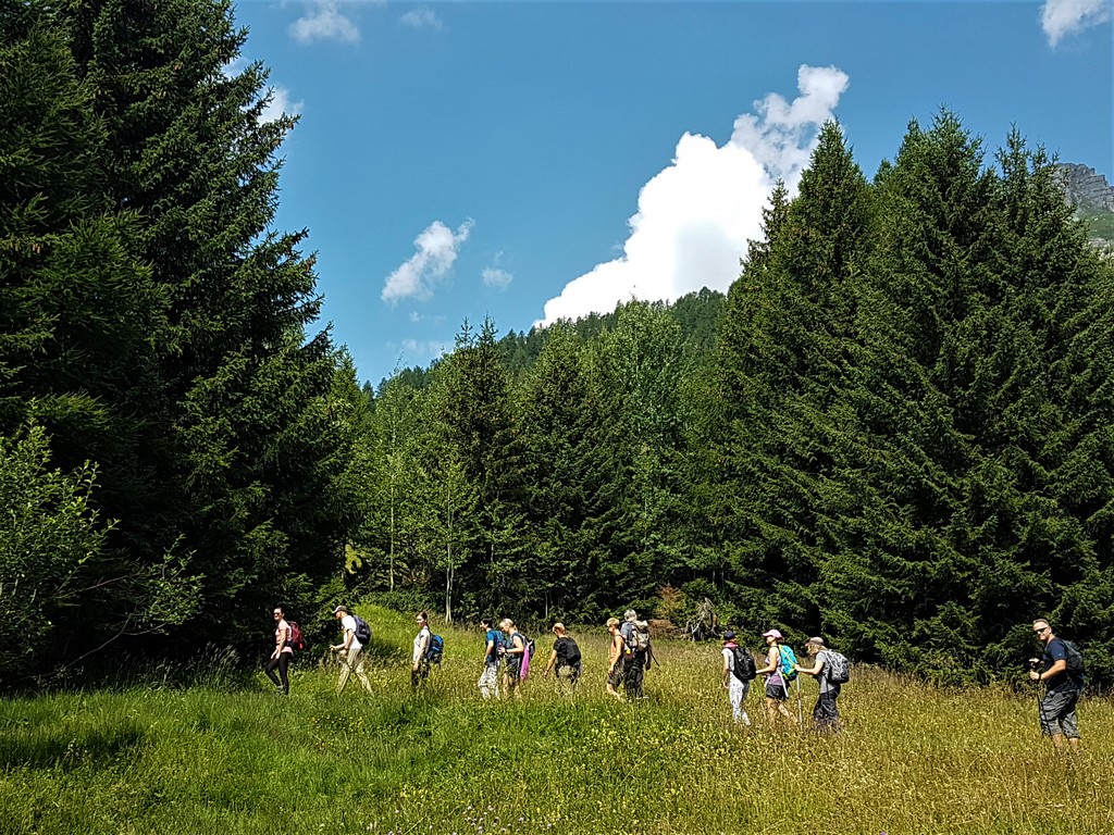 Gruppenwanderung mit Frosch Sportreisen