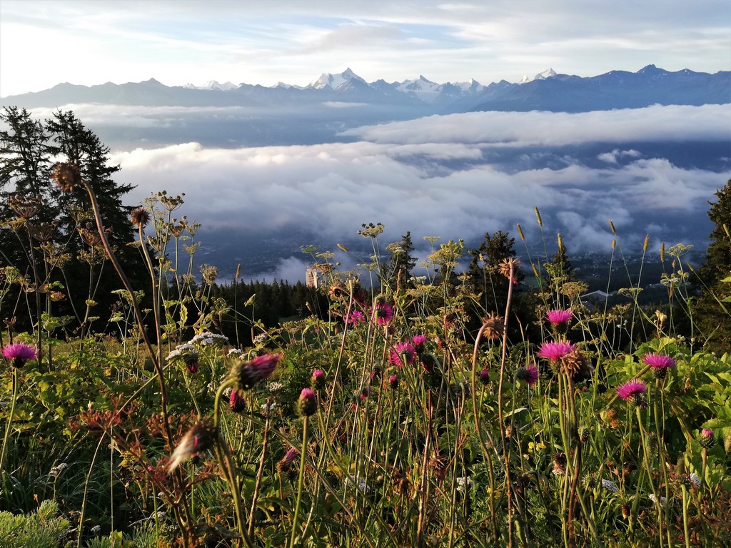 Morgenstimmung bei der Sonnenaufgangstour mit Frosch Sportreisen