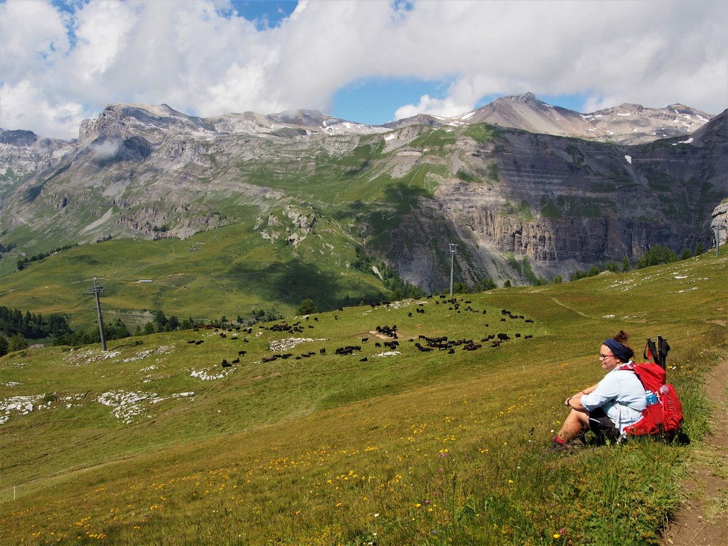 Blick auf die Berge und Kühe