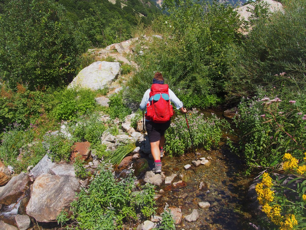 Frauen wandern