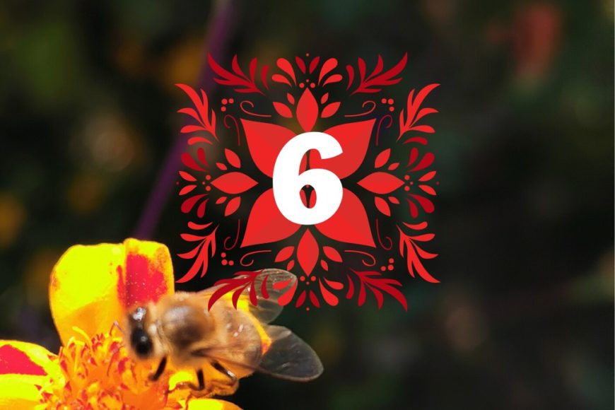 Titel Gewinnspiel Bienenwahstücher