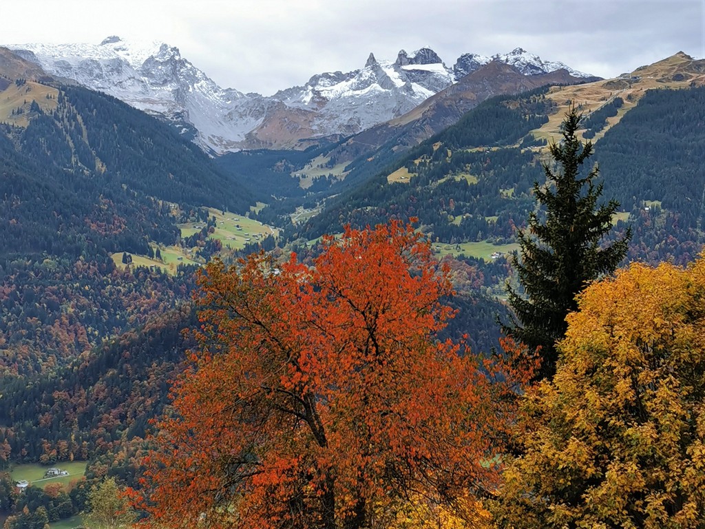 Herbstfarben beim Wandern im Montafon