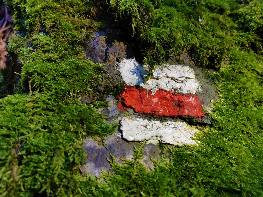 rot-weiße Markierung auf dem Riegerpfad