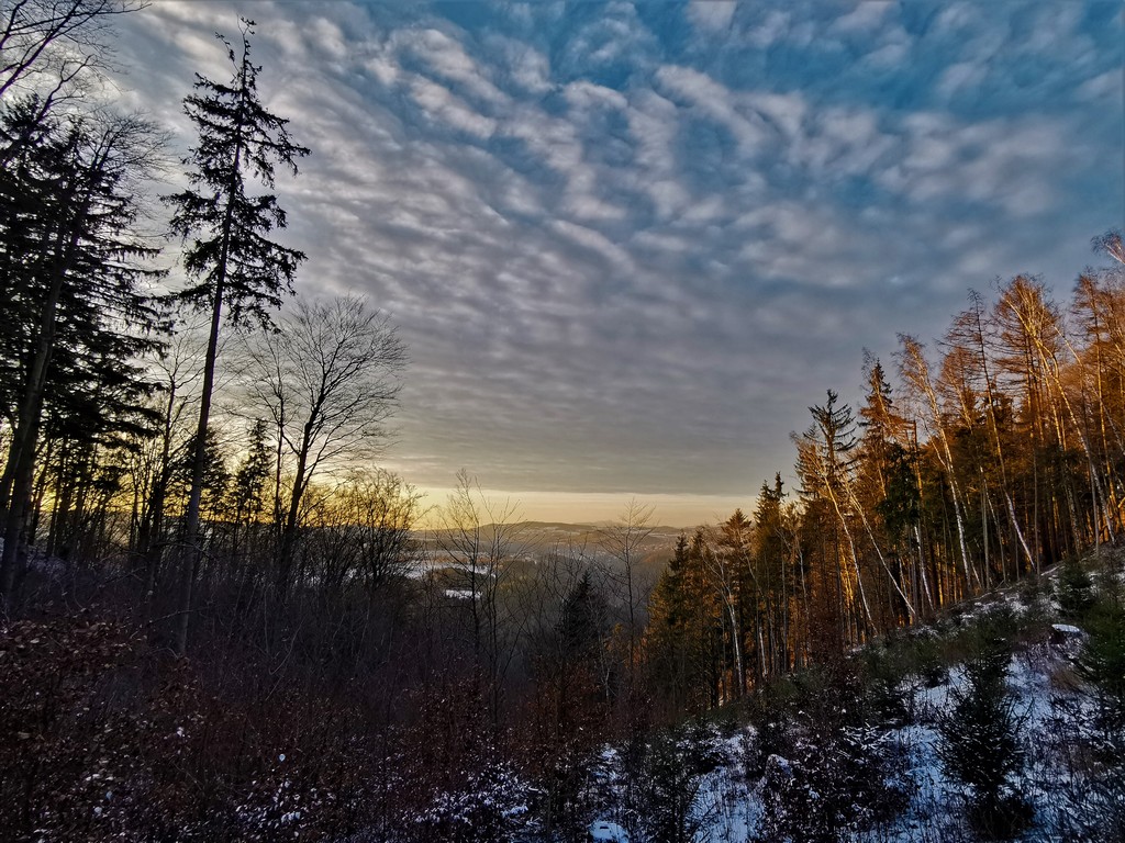 Abendstimmung auf dem Riegerpfad