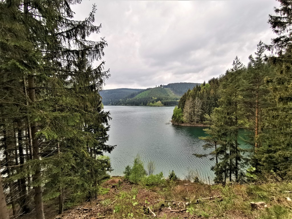 Blick auf die Ohratalsperre im Thüringer Wald