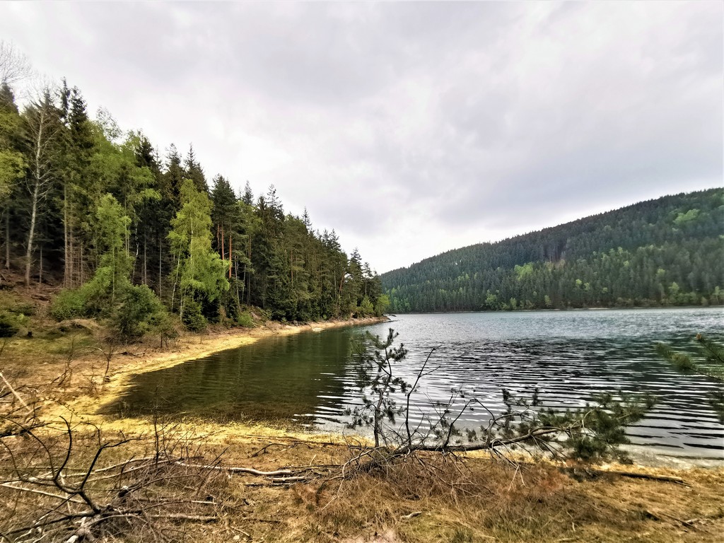 Am Ufer der Ohratalsperre