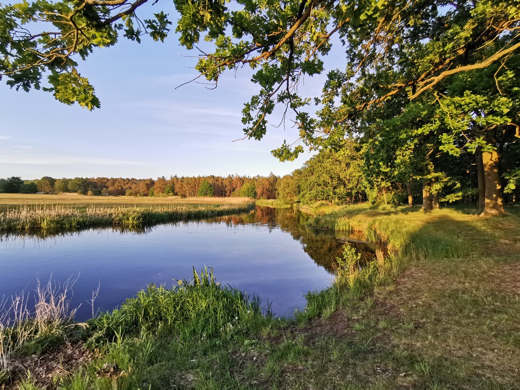 Blick auf die Spree