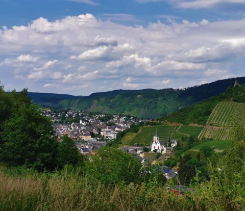 Blick auf Traben-Trarbach Moseltal Seitensprünge