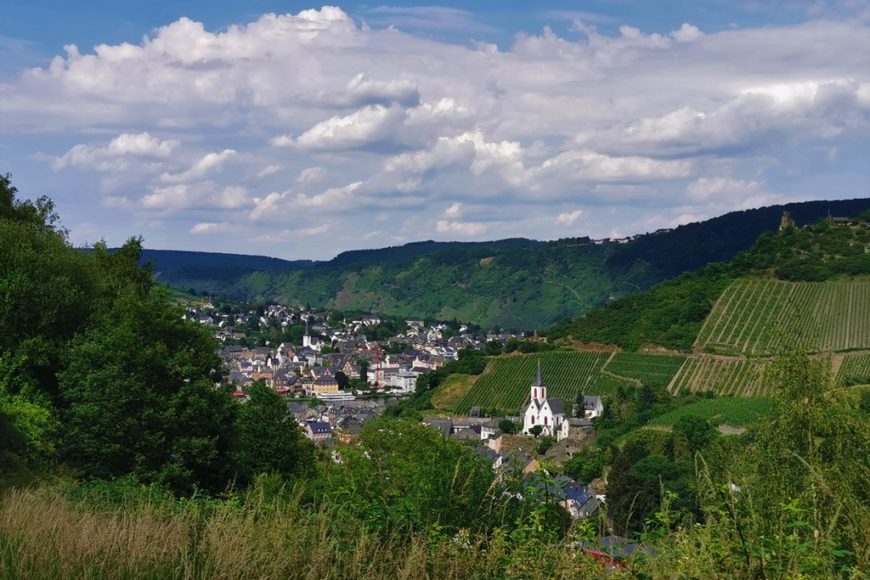 Blick auf Traben-Trarbach Moseltal Seitensprünge