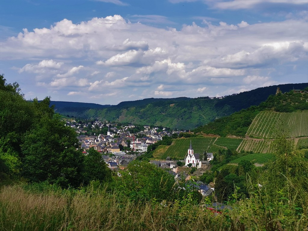 Blick auf Traben-Trarbach Moseltal Seitensprünge