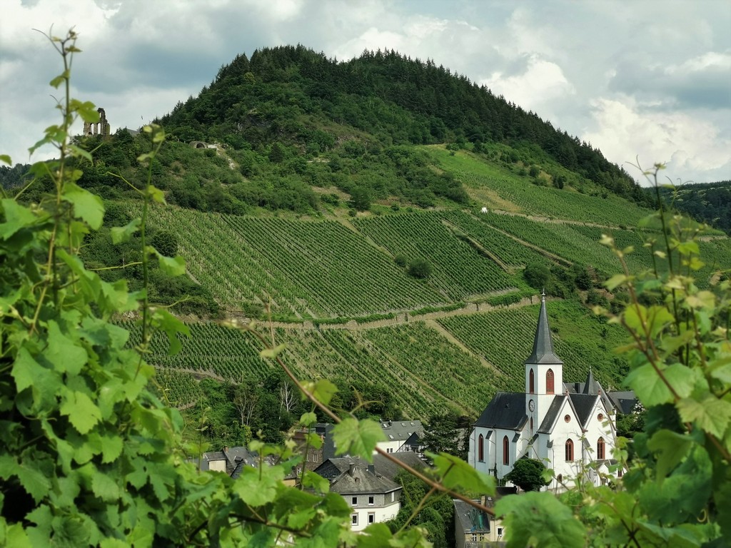 Blick auf Kirche von Mosel Traben Trarbach