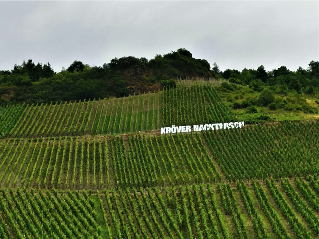 Der berühmte Kröver Nacktarsch - die wahrscheinlich bekannteste Weinlage Deutschlands