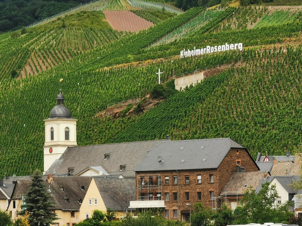 Kinheim an der Mosel