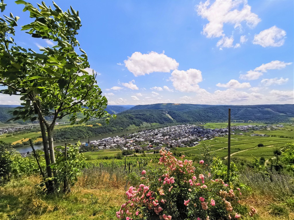 Mosel Traben Trarbach Kröv