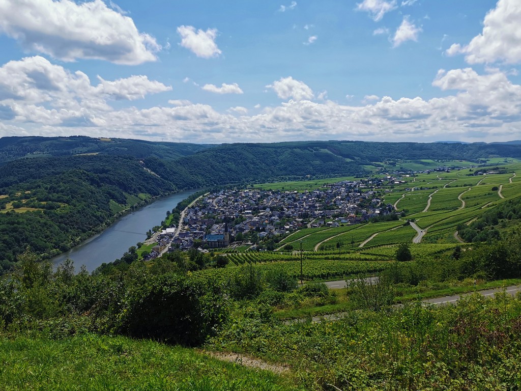 Auf dem Moselsteig zwischen Kinheim und Traben-Trarbach
