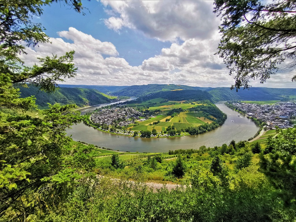 Blick auf die Moselschleife