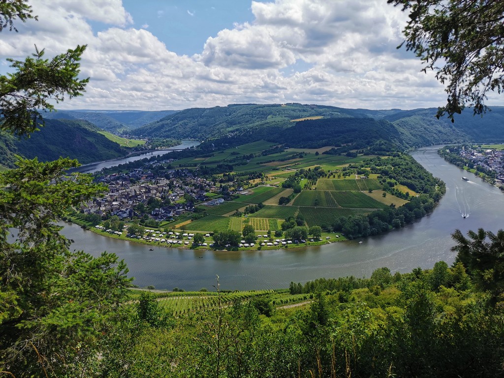 Moselschleife Wolf Kröv