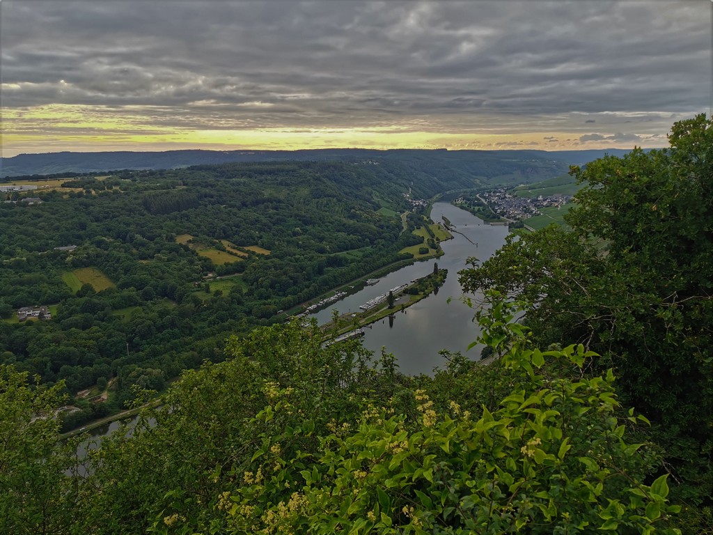 Schöne Aussicht auf Mosel Traben-Trarbach
