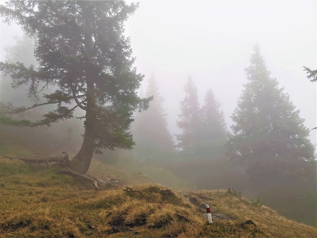 Wegmarkierungen sind bei Nebel manchmal schwer zu erkennen - Wander- und Bergsportversicherung