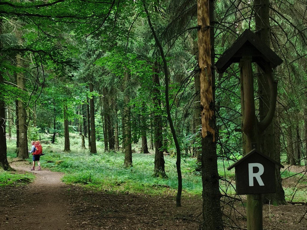 Wege auf der Rennsteigwanderung mit Zelt