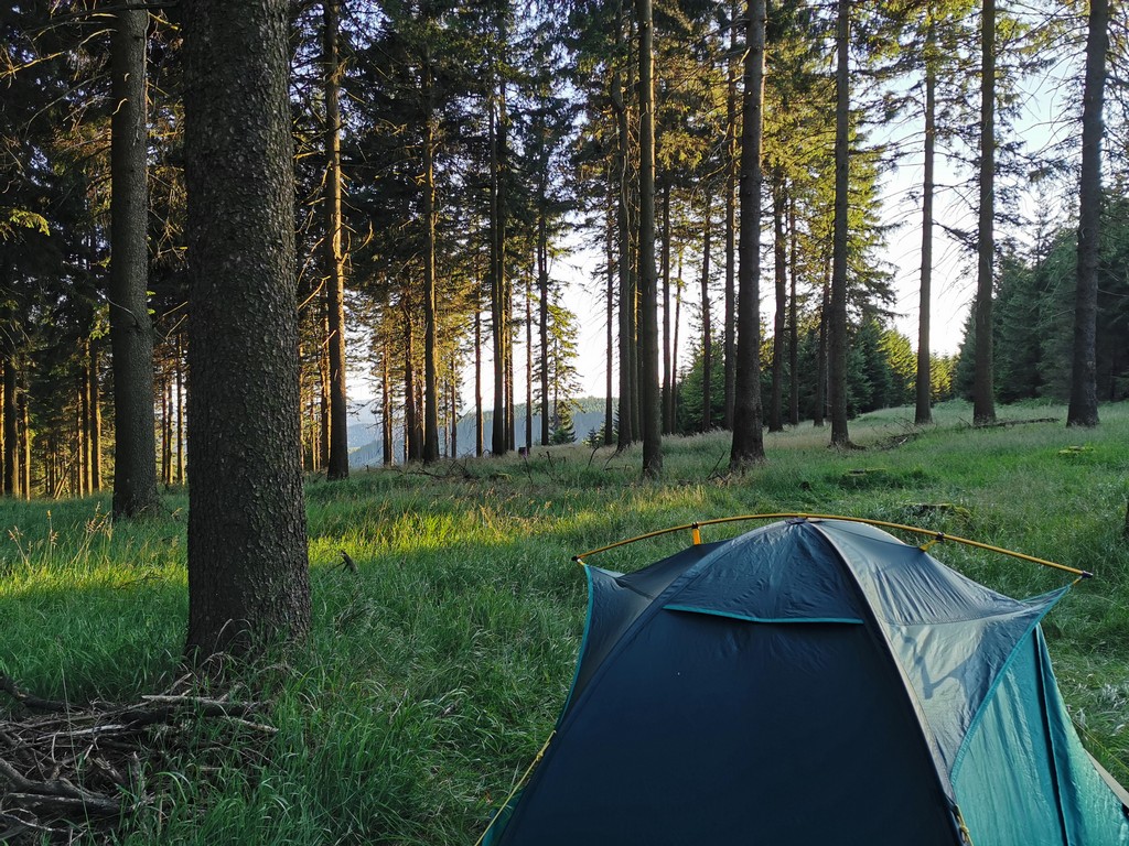 Unser Zelt im Wald am Wachsenrasen