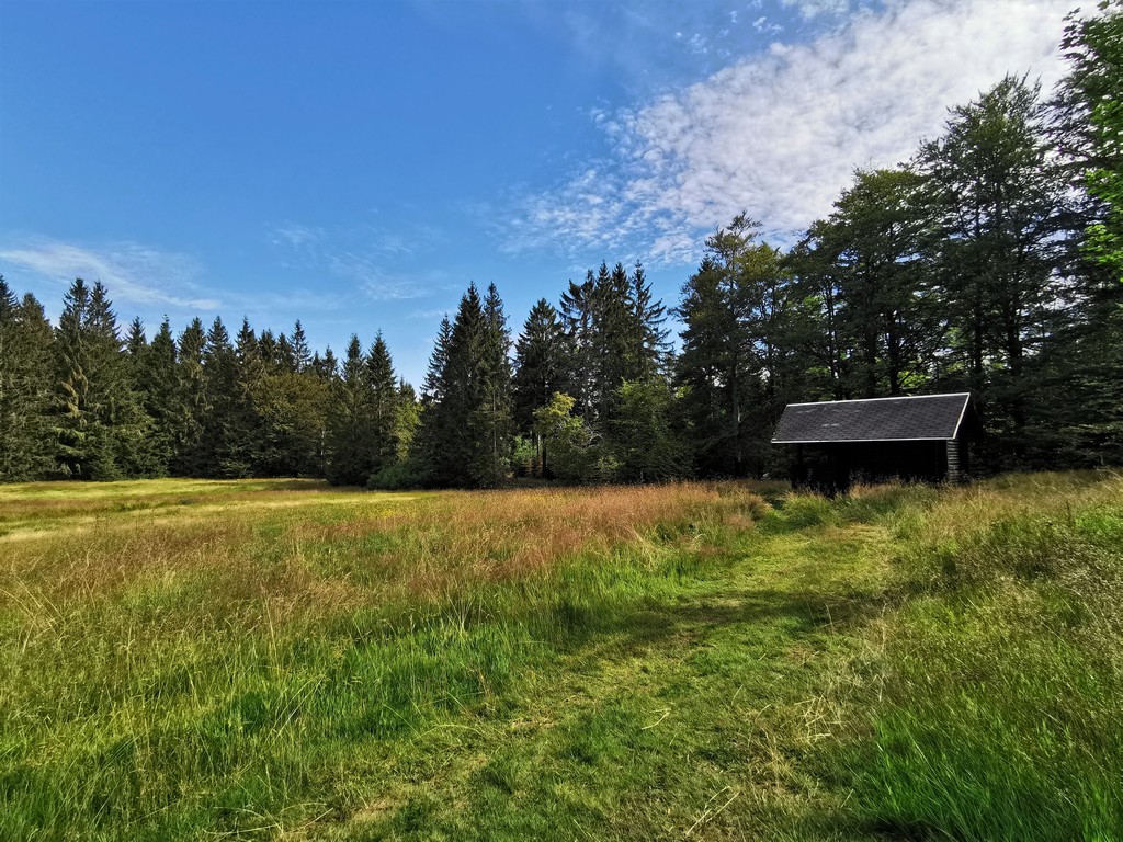 Schutzhütte an der Kleinteichswiese