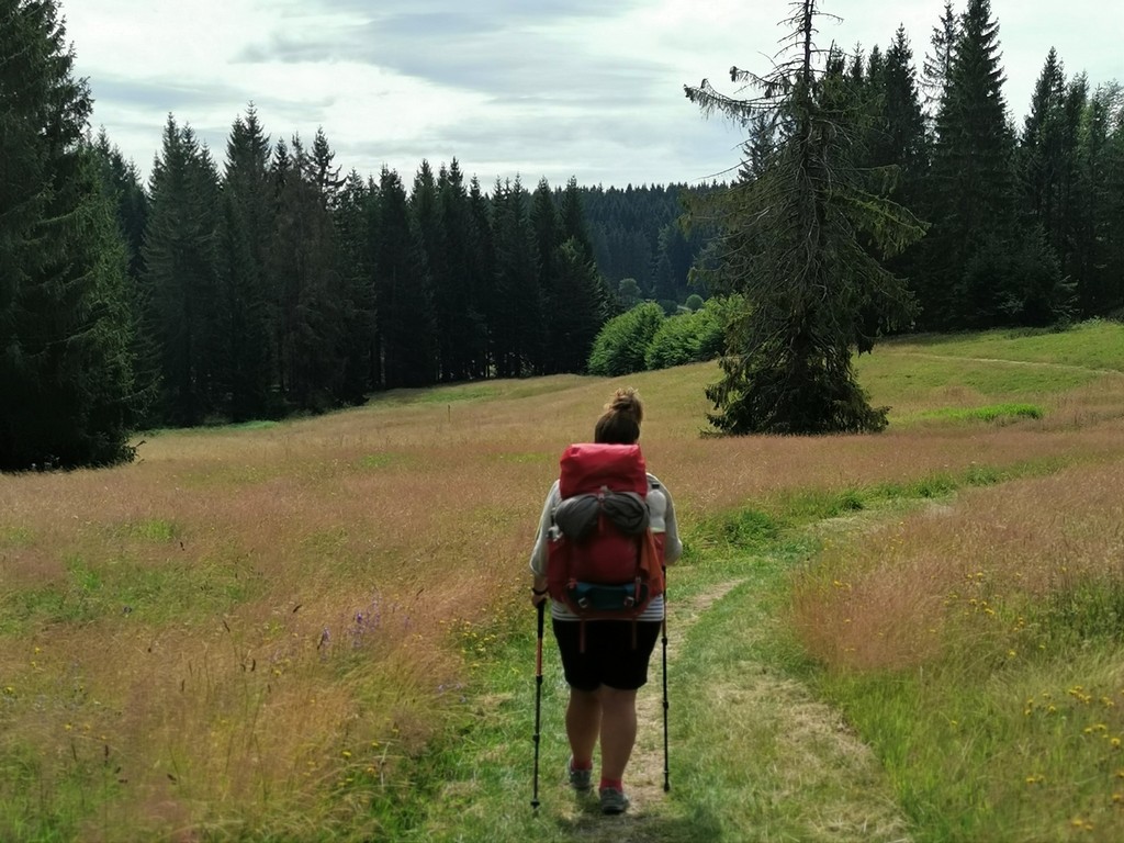 Wiesenpfad auf dem Rennsteig