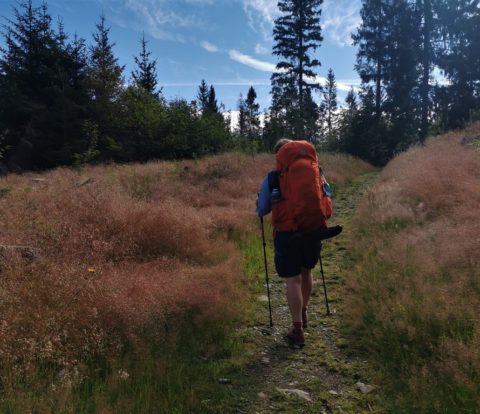 Auf der Rennsteigwanderung mit Zelt