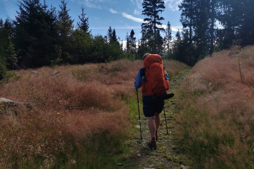 Auf der Rennsteigwanderung mit Zelt