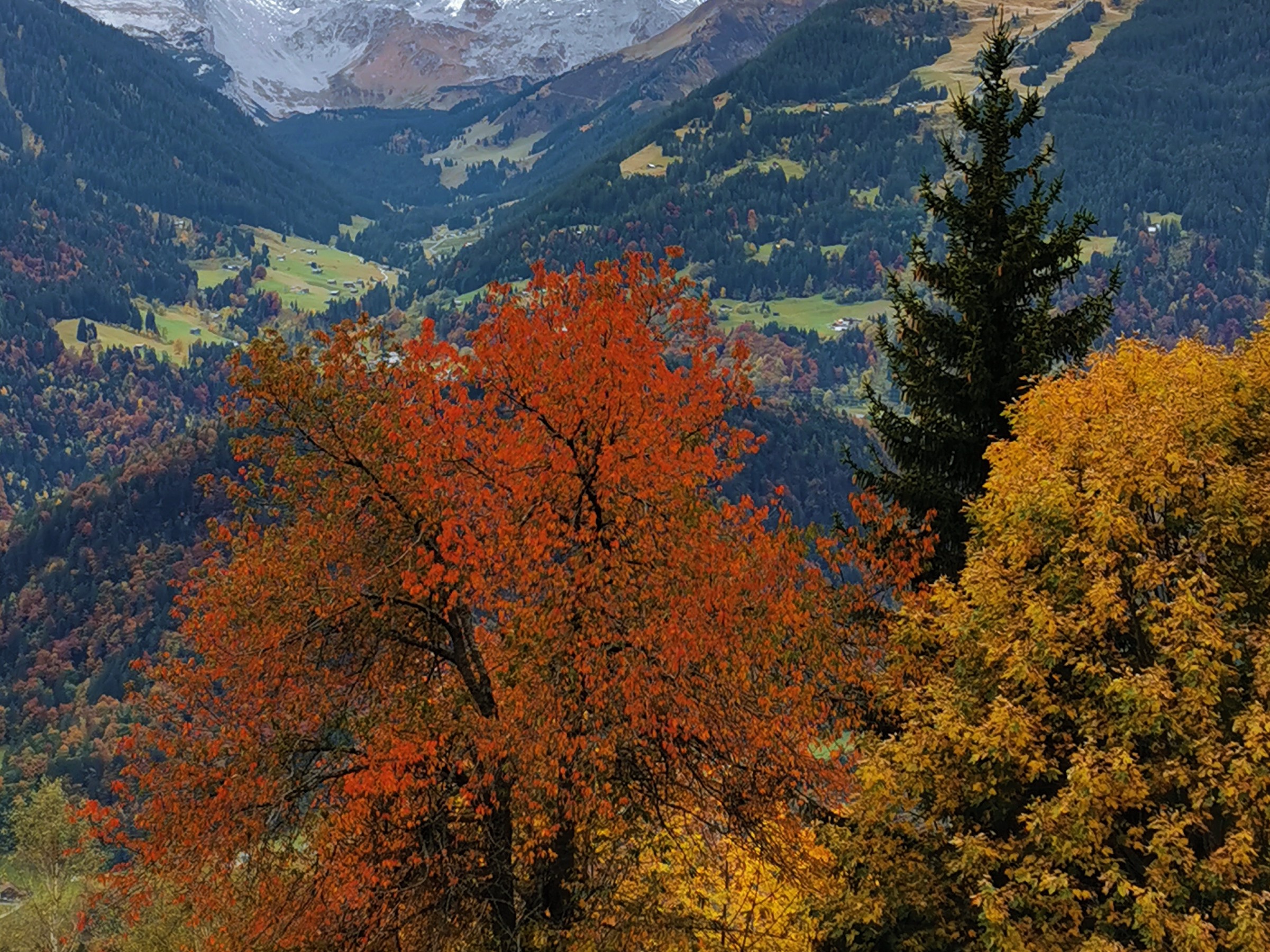 Wandern im Herbst in Deutschland Bunte Bäume