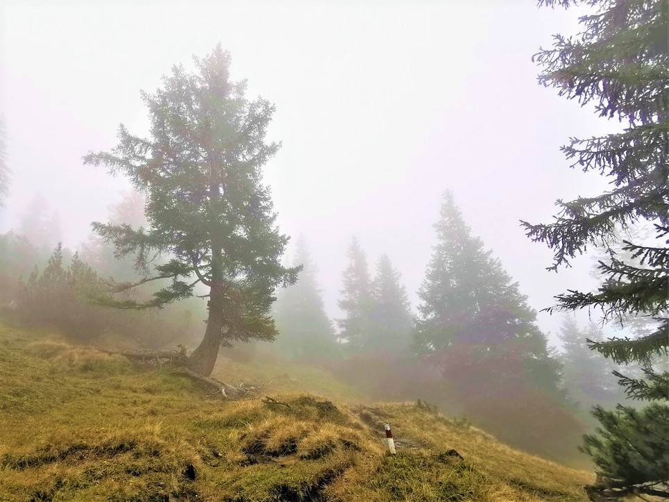 Wandern im Herbst in Deutschland