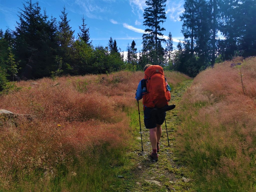 Wandern im Herbst in Deutschland Thüringer Wald