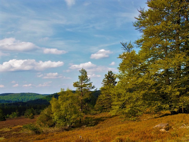 Herbstwanderungen im Sauerland