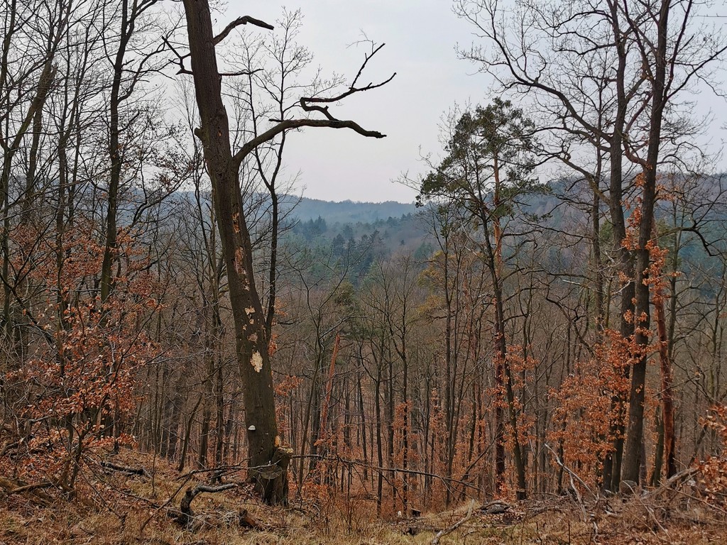 Aussicht vom Gipfelstürmerweg
