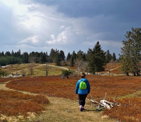 Titel Sauerland-Outdoormüllsack
