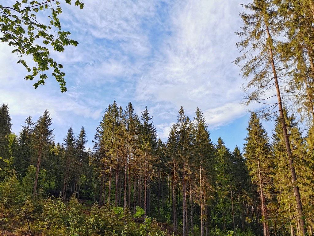 Schnuppertrekking auf den Trekkingplätzen im Frankenwald