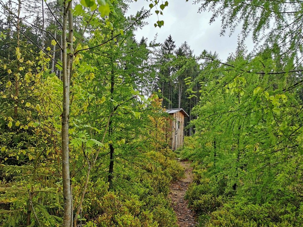 Versteckt im Wald - das Toilettenhäuschen auf dem Trekkingplatz Kobach- Trekkingplätze im Frankenwald