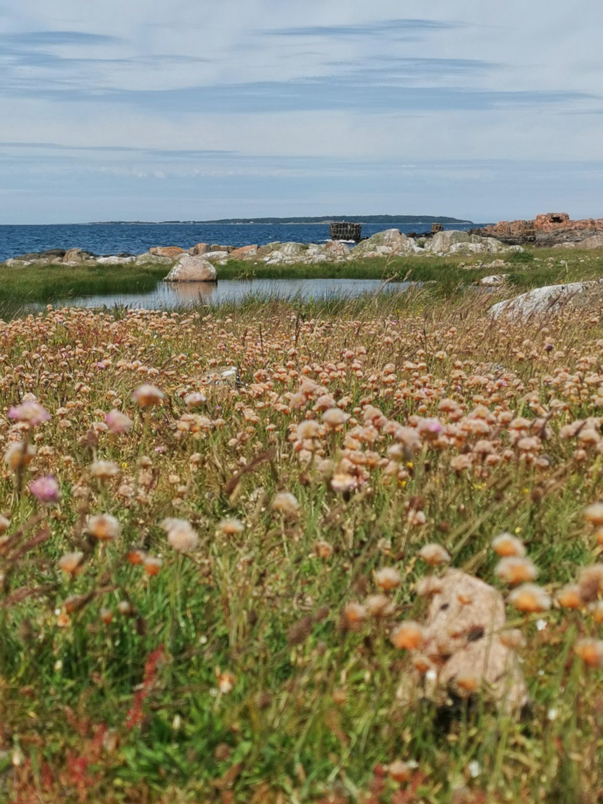 Bjäre-Halbinsel