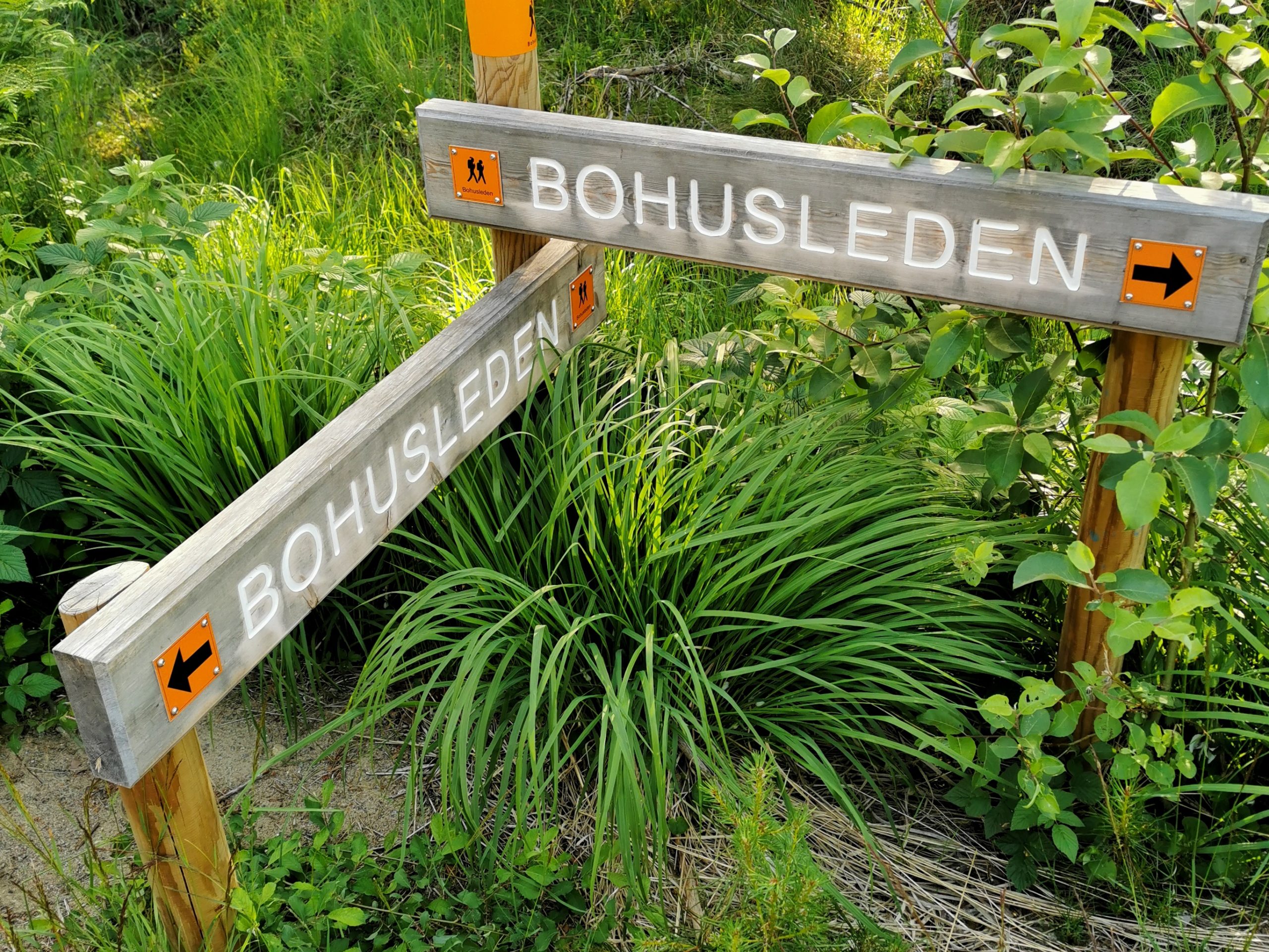 Bohusleden 