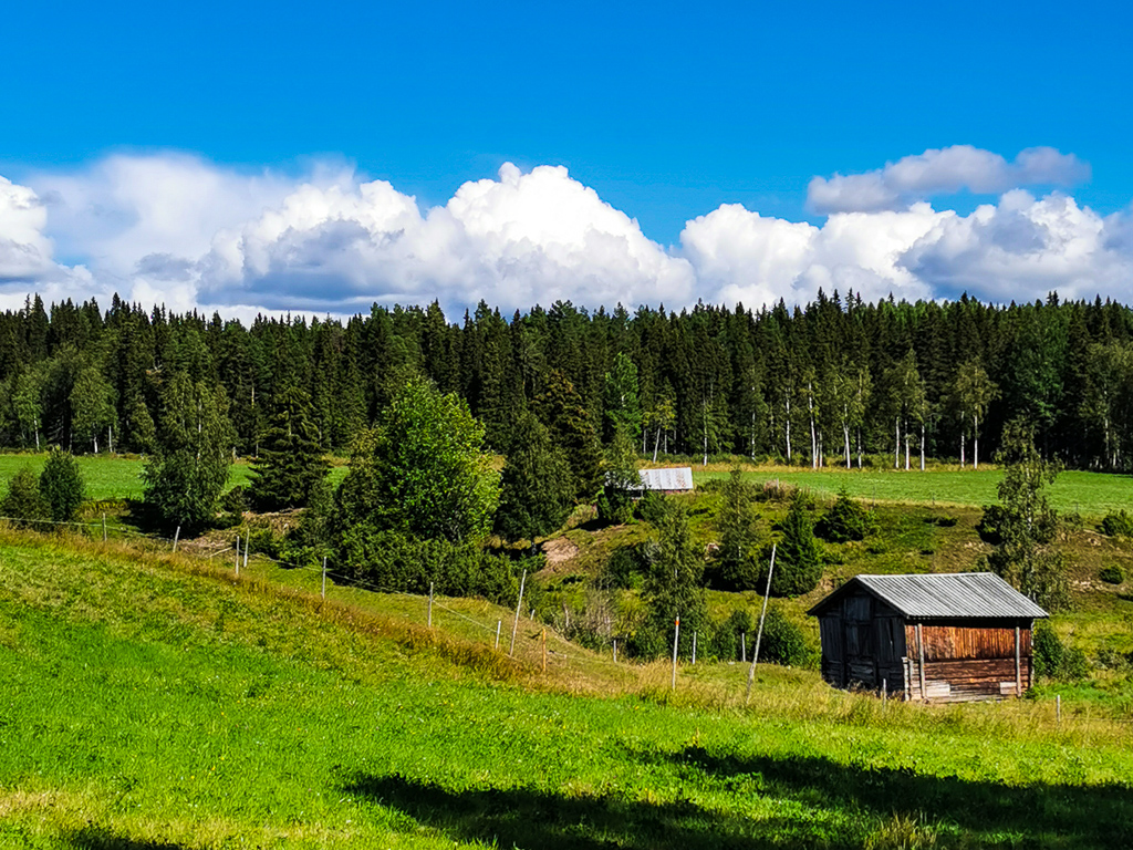 Unterwegs auf dem St. Olavsleden in Schweden - Olavsleden