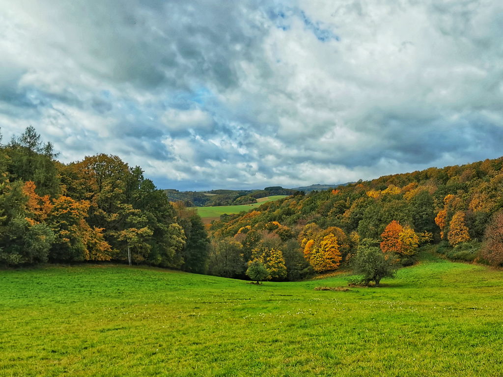 Auf de Hildegard-von-Bingen-Pilgerwanderweg hinter Herrstein