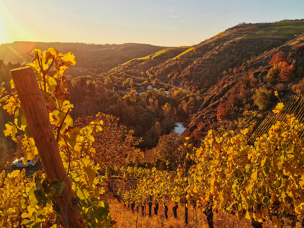 Goldener Herbst im Nahetal auf dem Hildegardweg