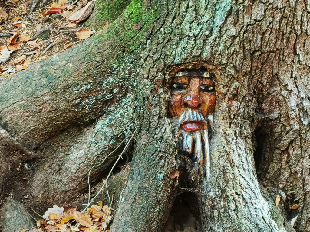 Baumgeister in der Steckeschlääferklamm auf dem Hildegardweg