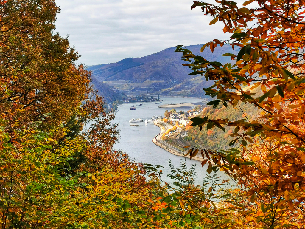 Blick auf den Rhein bei Bingen vom Hildegardweg