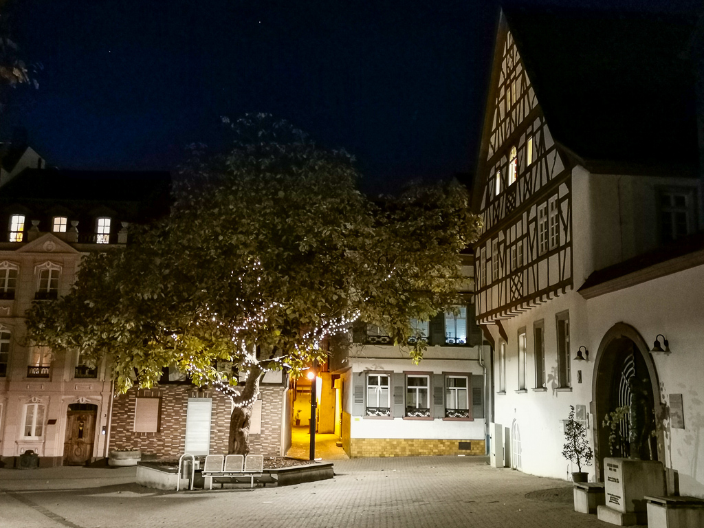Abendstimmung am Freidhof in Bingen - Hildegard-von-Bingen-Pilgerwanderweg