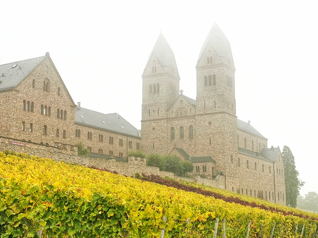 Abtei St. Hildegard in Eibingen im Nebel