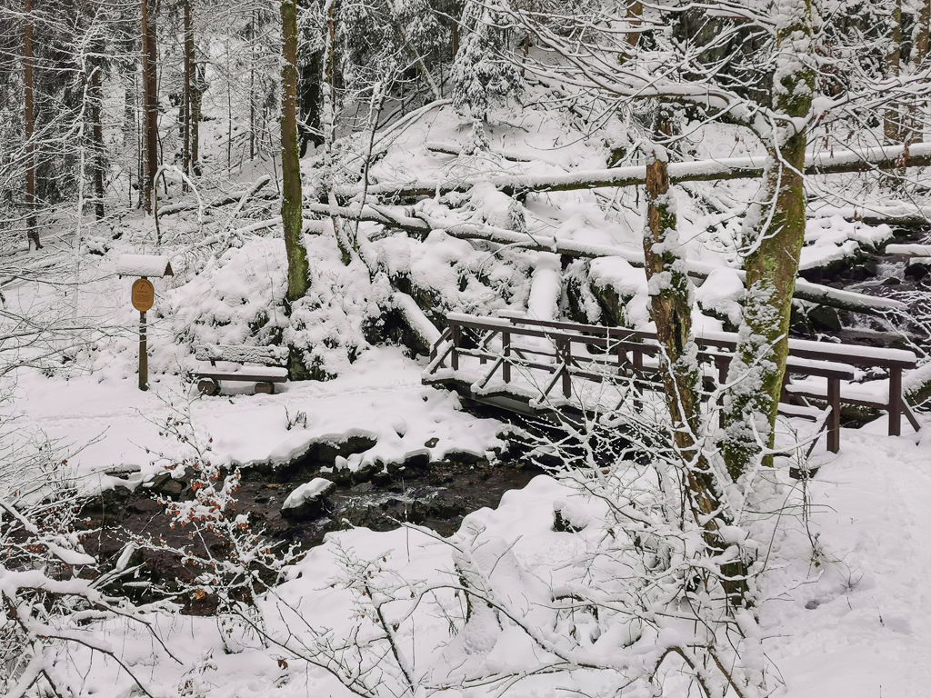 Finsteres Loch auf dem Goethewanderweg im Winter