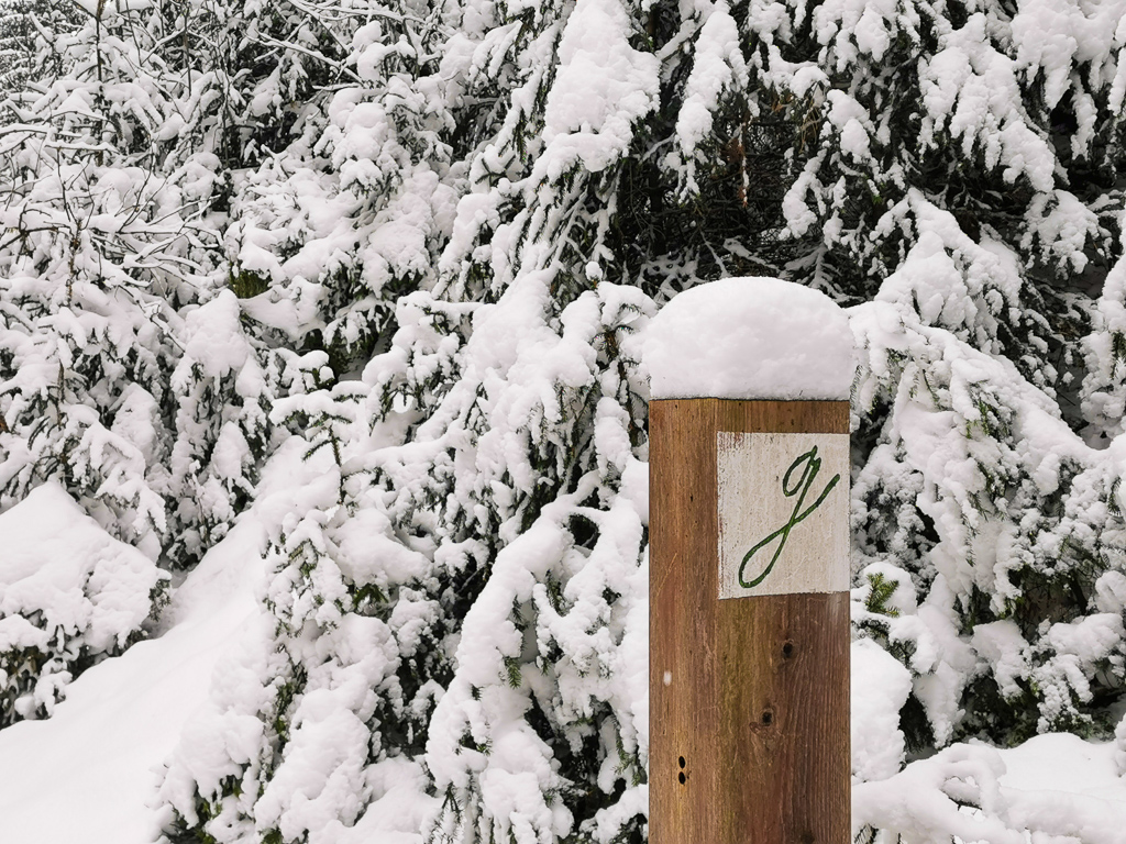 Goethewanderweg im Winter Titel