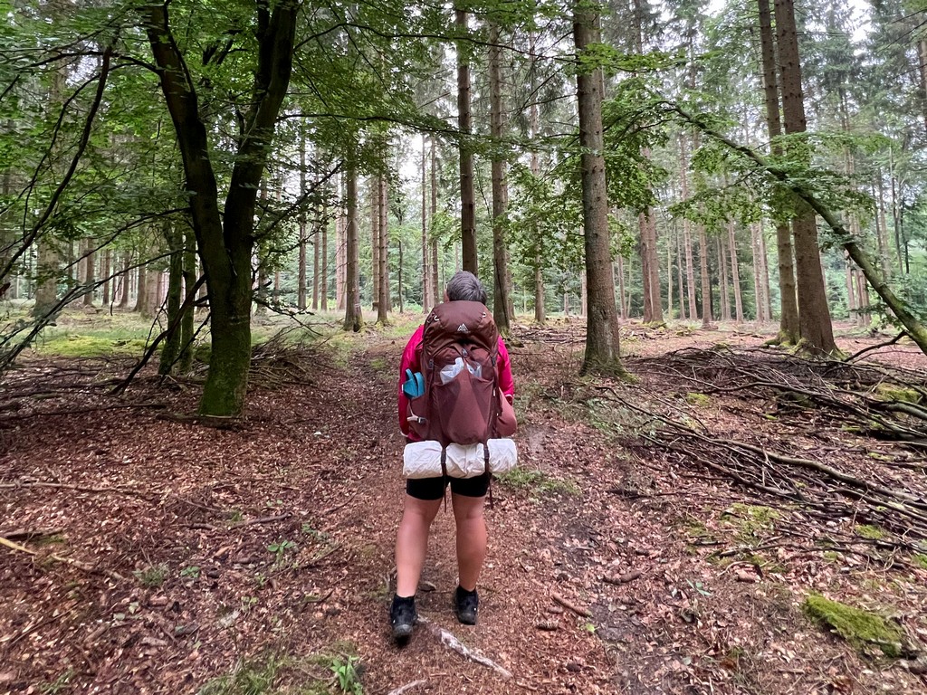 Frau mit großen Trekkingrucksack im Wald . Sie schaut nach oben und beobachtet die Bäume